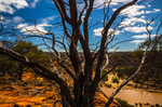 The Outback I