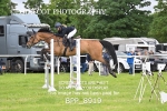 BPP_8919