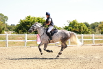 SBM_000832