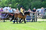 SBM_05779