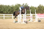 SBM_008737