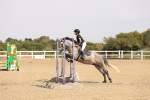SBM_001660