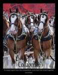 Collaborate Poster with Border 2 JULY 2016