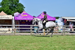 SBM_18274