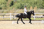 SBM_003426
