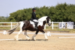 SBM_003679