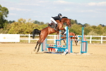 SBM_007774