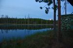 Wild Brown Bear Centre, near Vartius, Kainuu, Finland