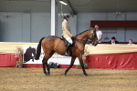 SBM_14930