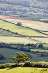 Across the Exe Valley from near Upcott Wood