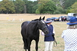 WJ6_6324