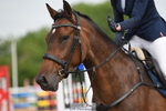 Cls 1 British Novice & 90cm Open portfolio