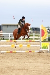 SBM_009582