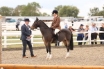 SBM_06190
