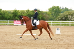 SBM_006268