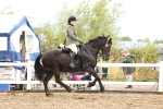 SBM_00373