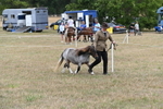 WJ6_5402