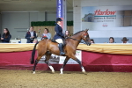 SBM_15883