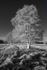 DSCF9327-Edit