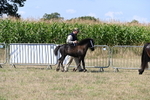 WJ6_4446