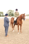 SBM_07577