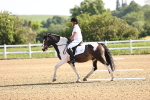 SBM_007438