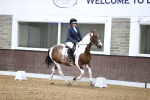 SBM_01611