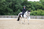Class 6: Novice 1 2024 Section B portfolio