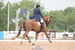Cls 19+20 FEI Inter I + II portfolio