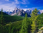 Istock #15970712