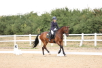 SBM_007429