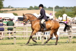 SBM_18016