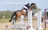BPP_3841