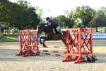 SBM_14678