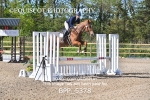 BPP_5378