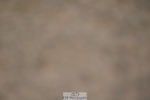 230811-151532-02283