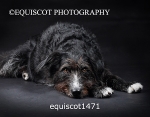 equiscot1471