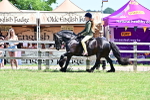 SBM_15325