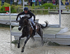 Oliver Townend