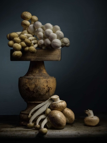 Mushroom Medley. Light-painted still-life photograph featuring several types of edible mushrooms. Lit by diffused tor…