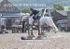 BPP_1191