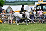 SBM_17465