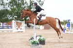 Cls 27 Chard Equestrian 5 Year Old Championship portfolio