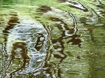 Riga-Beaver water pattern