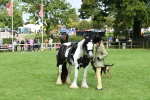SBM_46947