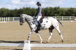 SBM_001182