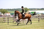 SBM_15083