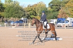 BPP_8013