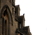 Oxford - 04