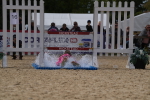 SBM_45332